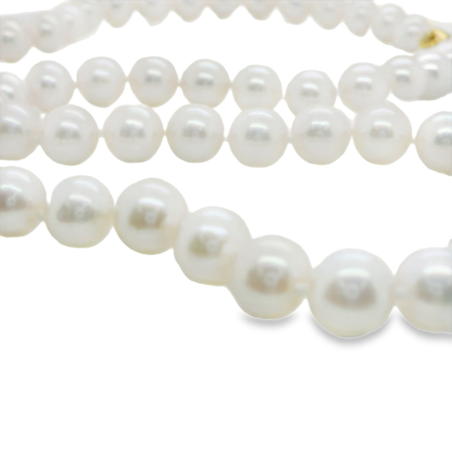 Akoya Pearl Necklace