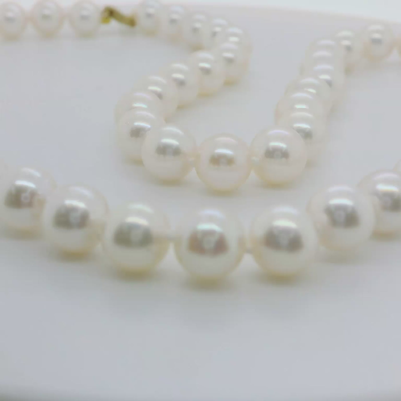 Akoya Pearl Necklace